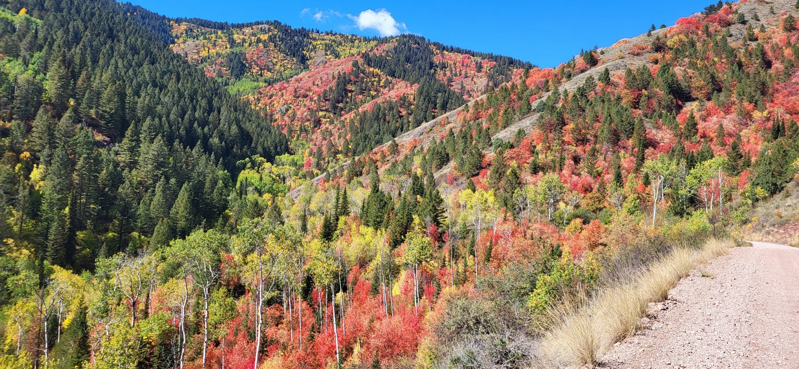 about-us-joyride-rental